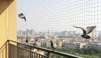 Pigeon Net Installation